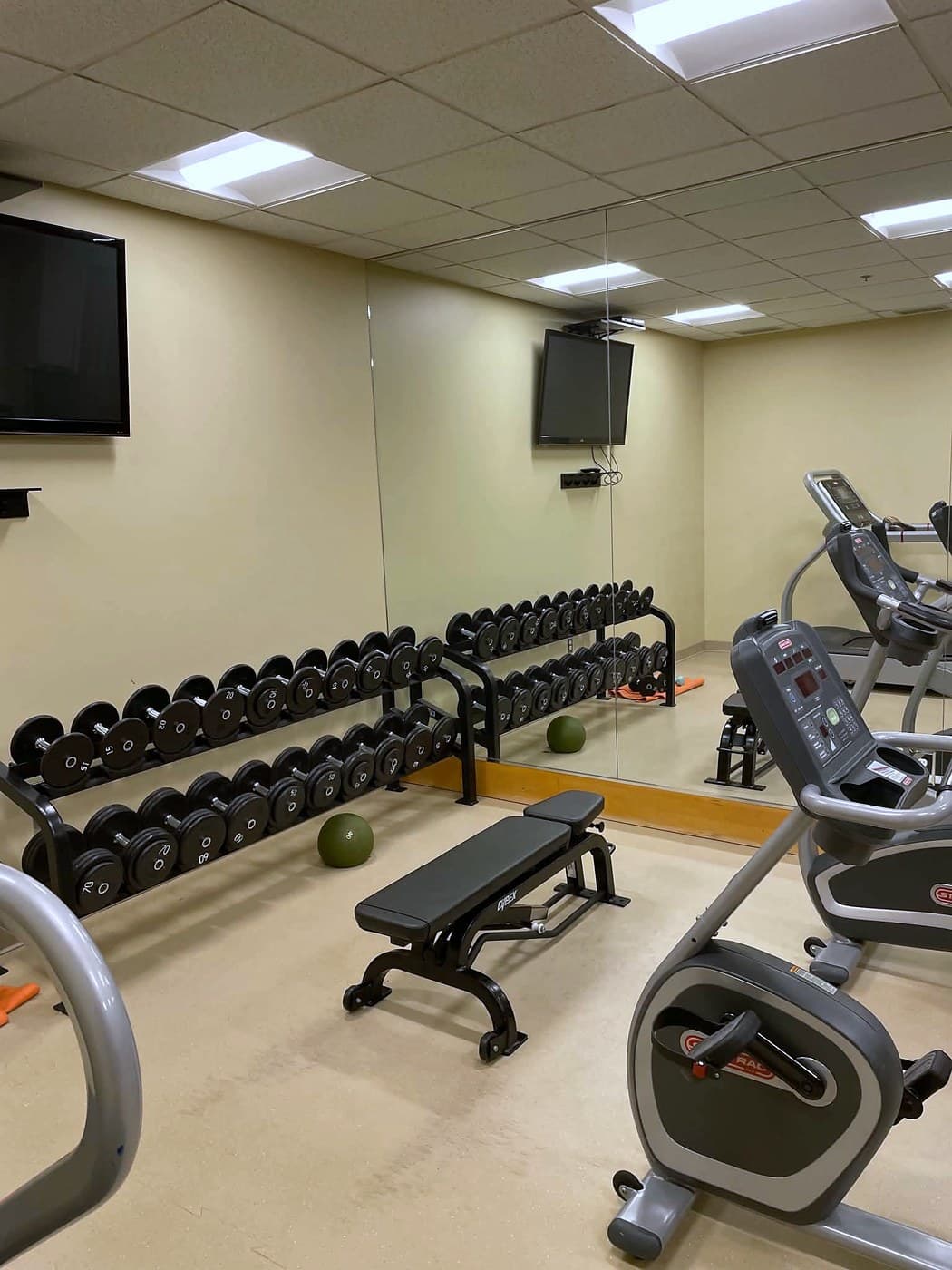A training floor: a rack of dumbbells from 5 to 70 pounds, a flat bench, an upright bike and a stepper in front of a mirrored wall.